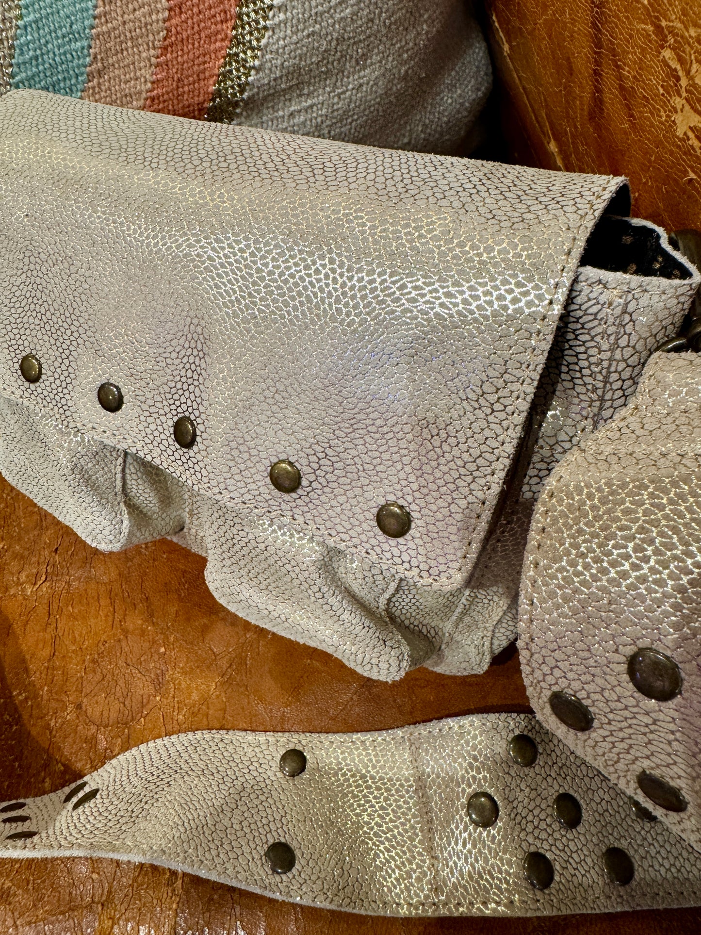 Sac Lézard