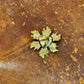 Broche Coeur Sacré Gold
