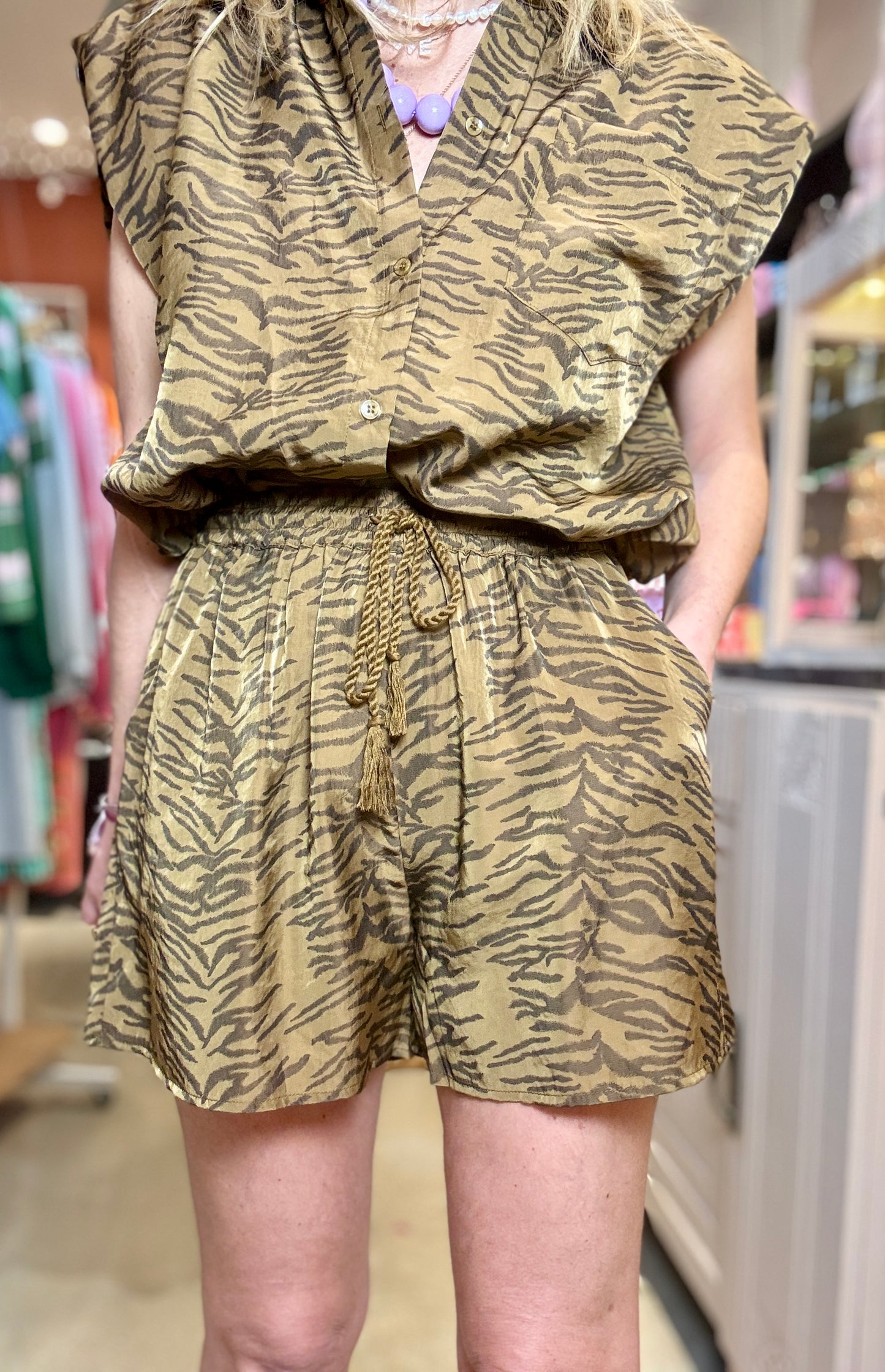 Short Zebra