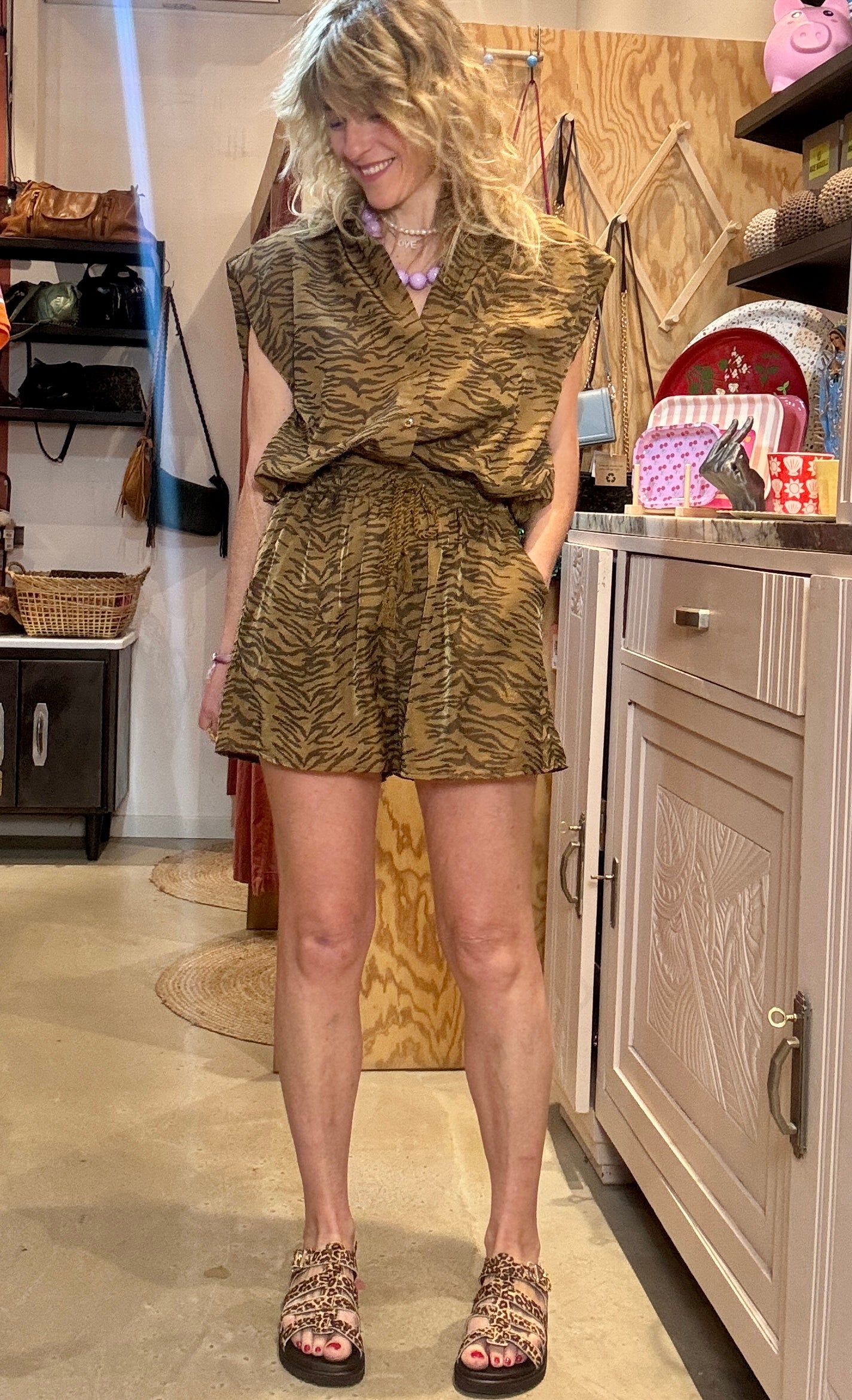 Short Zebra