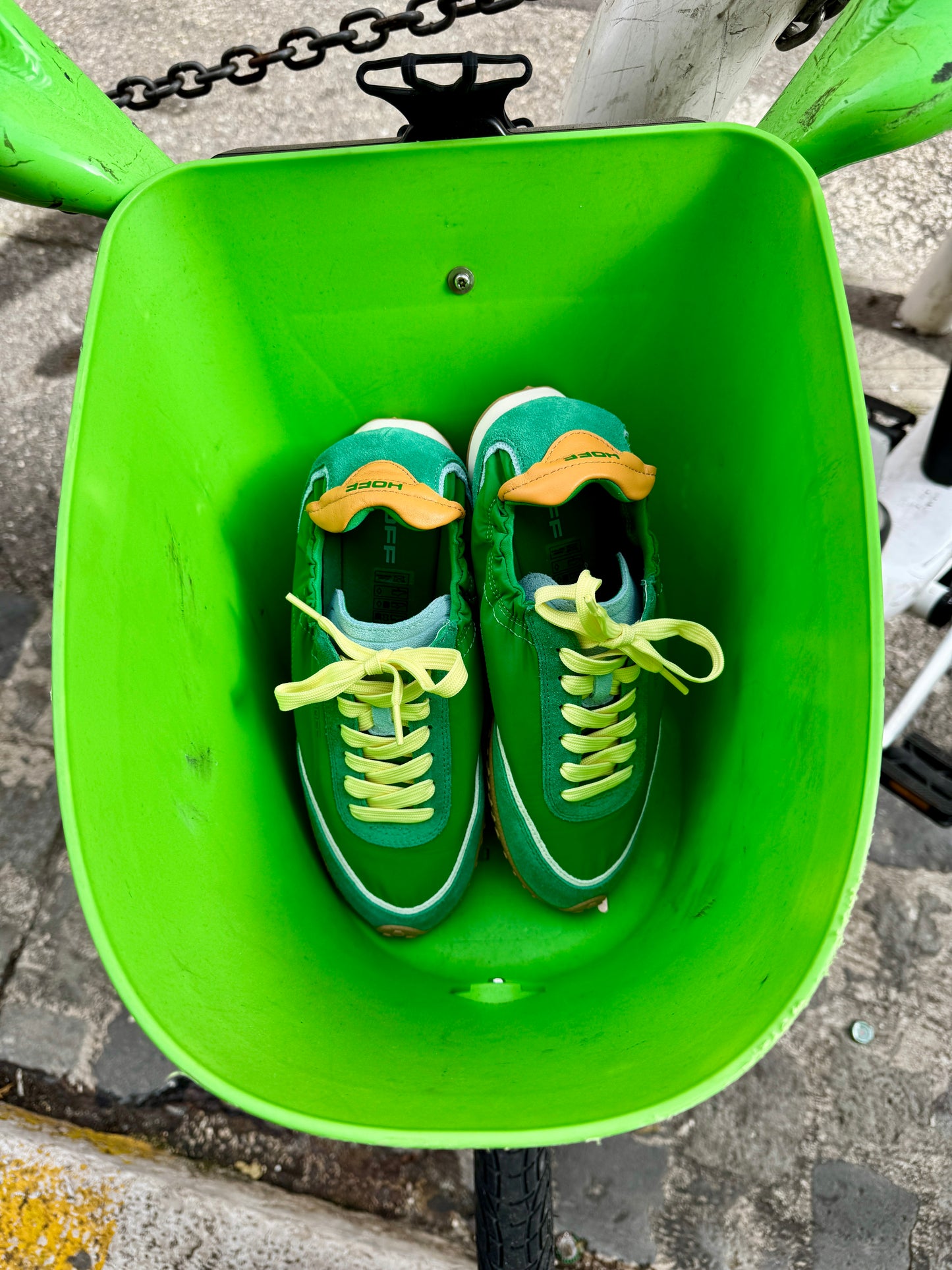 Baskets Starsky Vertes