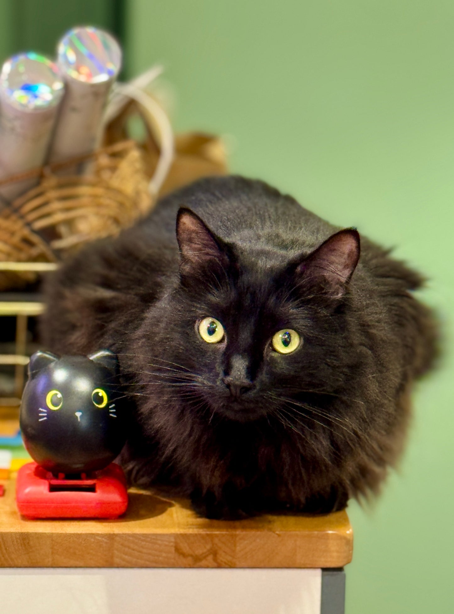 Figurine solaire Chat