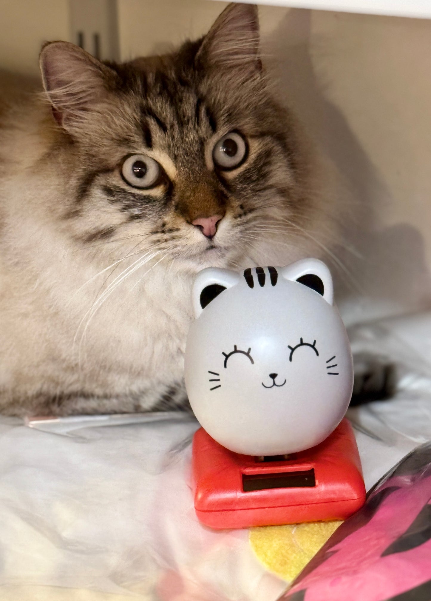 Figurine solaire Chat