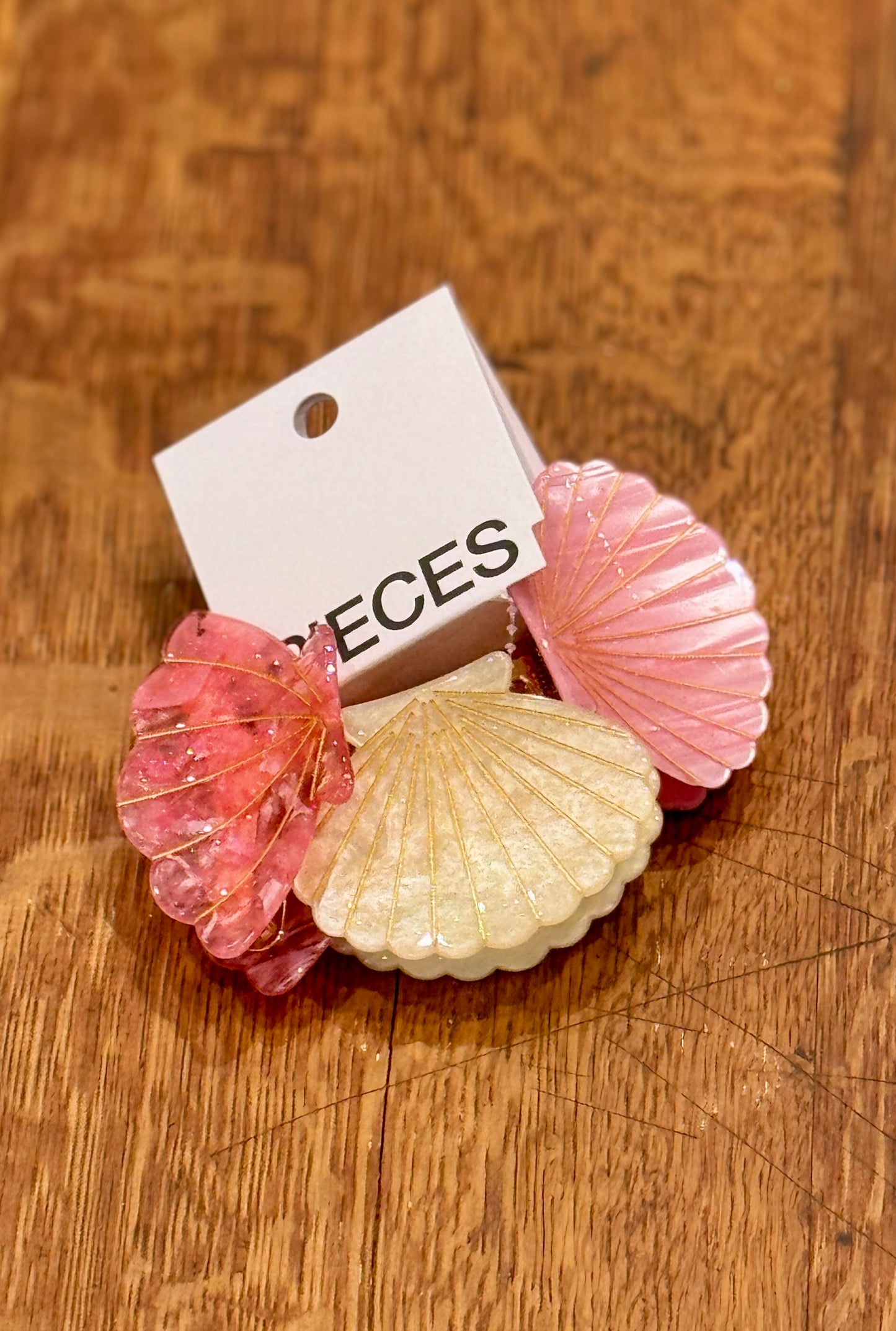 Pinces Coquillages