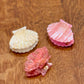 Pinces Coquillages