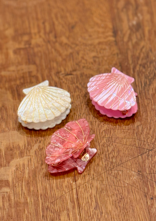 Pinces Coquillages
