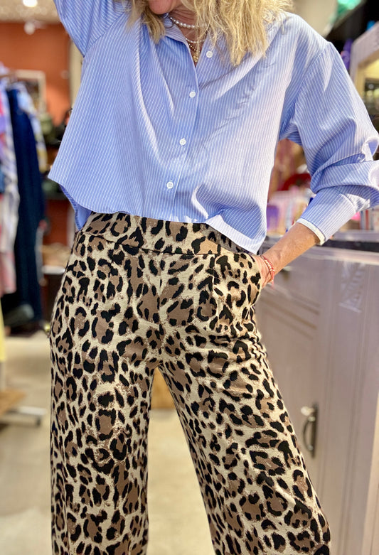 Pantalon Big Cat