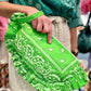 Pochettes Punky Brewster